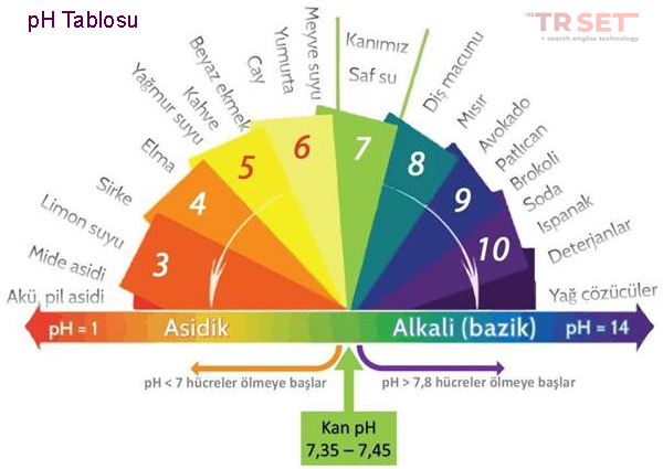 PH skalası