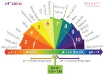 pH Dengesi, Asit, Baz ve Sulu Çözelti Dengeleri