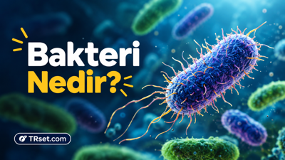 Bakteri Nedir?